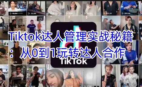 Tiktok达人管理实战秘籍：从0到1玩转达人合作-一人公司创业项目 - 淘金吧