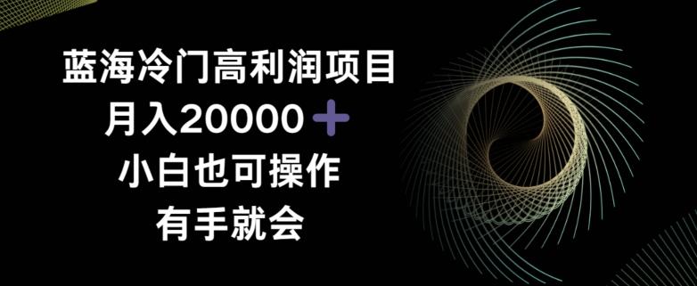 蓝海冷门高利润项目月入2000，小白也可操作有手就会-一人公司创业项目 - 淘金吧