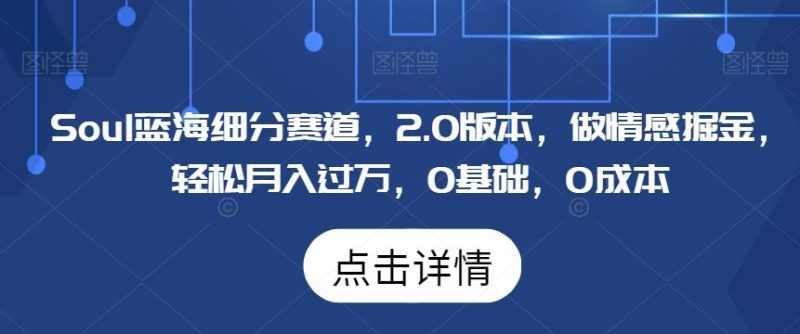 Soul蓝海细分赛道,2.0版本,做情感掘金,轻松月入过万,0基础,0成本-一人公司创业项目 - 淘金吧