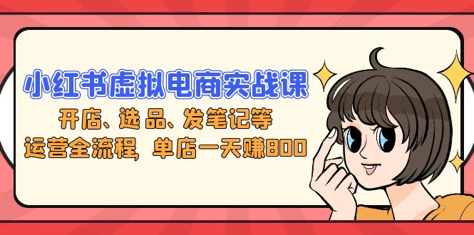 小红书虚拟电商实战课：开店、选品、发笔记等运营全流程，单店一天赚800-一人公司创业项目 - 淘金吧