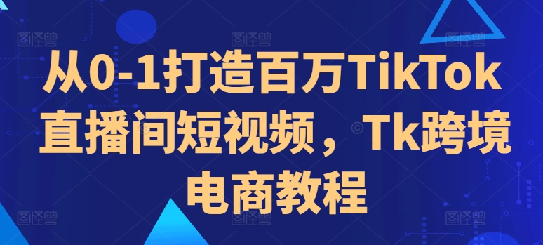 从0-1打造百万TikTok直播间短视频，Tk跨境电商教程-一人公司创业项目 - 淘金吧