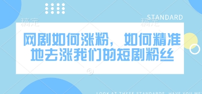 网剧如何涨粉，如何精准地去涨我们的短剧粉丝-一人公司创业项目 - 淘金吧
