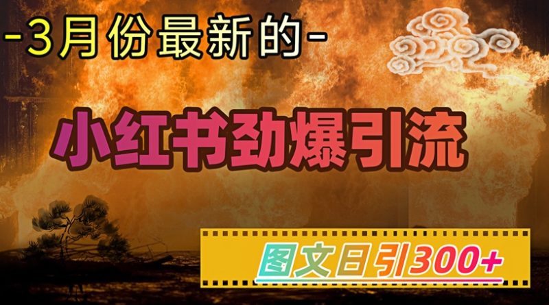 小红书超劲爆引流手段，图文日引300+轻松变现1W-一人公司创业项目 - 淘金吧