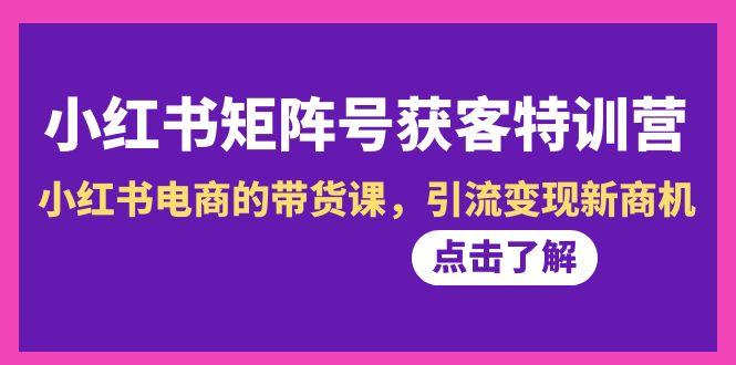 小红书-矩阵号获客特训营-第10期，小红书电商的带货课，引流变现新商机-一人公司创业项目 - 淘金吧
