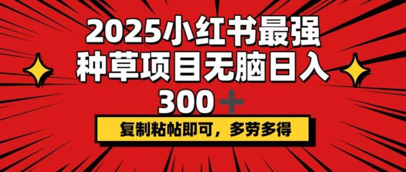 2025小红书最强种草项目，无脑日入300+，复制粘帖即可，多劳多得-一人公司创业项目 - 淘金吧