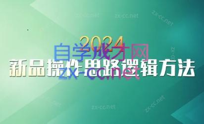 云创·2024新品操作思路逻辑方法-一人公司创业项目 - 淘金吧
