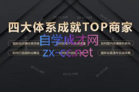 华曜·阿里巴巴国际站认知及直通车实操课程-一人公司创业项目 - 淘金吧