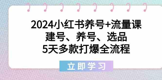 2024小红书养号+流量课：建号、养号、选品，5天多款打爆全流程-淘金吧副业资源站