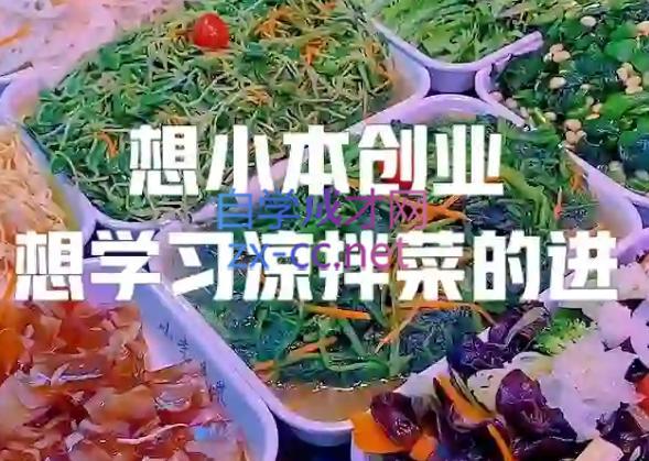 李记·精品凉拌菜系列热卤系列教程-一人公司创业项目 - 淘金吧