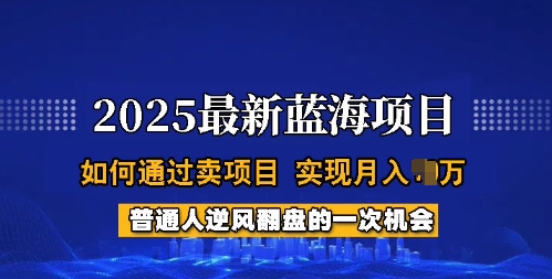 2025蓝海项目，普通人如何通过卖项目，实现月入过W，全过程【揭秘】-一人公司创业项目 - 淘金吧