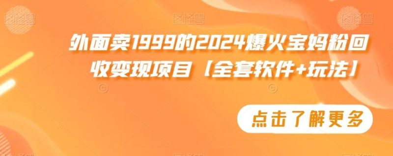 外面卖1999的2024爆火宝妈粉回收变现项目【全套软件+玩法】【揭秘】-一人公司创业项目 - 淘金吧