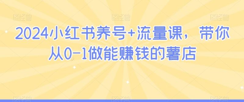2024小红书养号+流量课，带你从0-1做能赚钱的薯店-一人公司创业项目 - 淘金吧