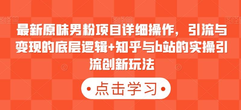最新原味男粉项目详细操作，引流与变现的底层逻辑+知乎与b站的实操引流创新玩法-一人公司创业项目 - 淘金吧