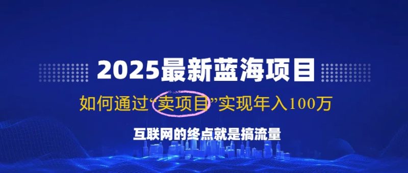 2025最新蓝海项目，零门槛轻松复制，月入10万+，新手也能操作！-一人公司创业项目 - 淘金吧