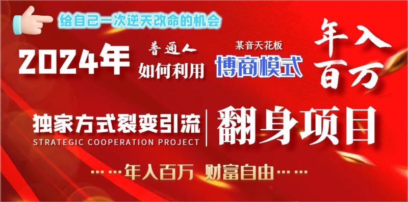 2024年普通人如何利用博商模式做翻身项目年入百万，财富自由-一人公司创业项目 - 淘金吧