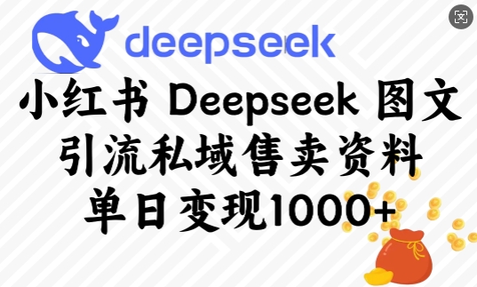 小红书Deepseek图文引流私域售卖资料，单日变现多张-一人公司创业项目 - 淘金吧