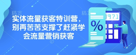 实体流量获客特训营，​别再苦苦支撑了赶紧学会流量营销获客-一人公司创业项目 - 淘金吧