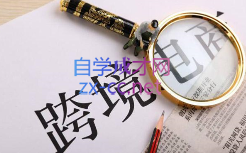 帮课大学VIP会员课程(更新2025年)-一人公司创业项目 - 淘金吧