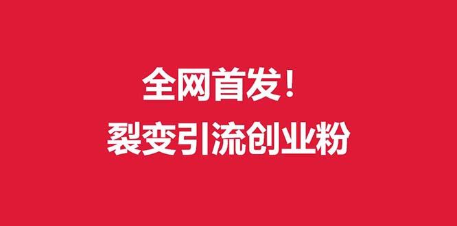 (全网首发)外面收费几千的裂变引流高质量创业粉-一人公司创业项目 - 淘金吧