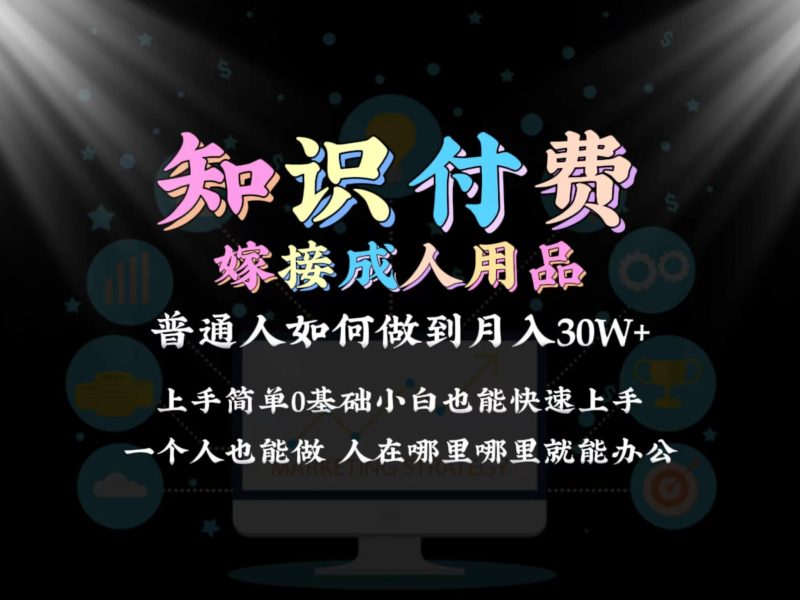 2024普通人做知识付费结合成人用品如何实现单月变现30w 保姆教学1.0-一人公司创业项目 - 淘金吧