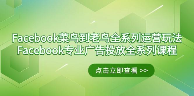 Facebook-菜鸟到老鸟全系列运营玩法+Facebook-专业广告投放全系列课程-一人公司创业项目 - 淘金吧