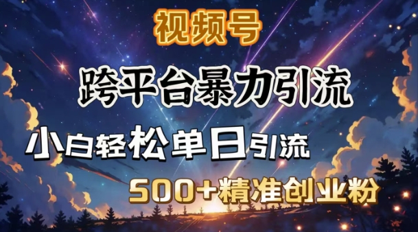跨平台暴力引流,私域完美闭环,日引500+精准创业粉-一人公司创业项目 - 淘金吧