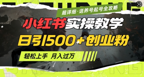 2月小红书最新日引500+创业粉实操教学【超详细】小白轻松上手,月入1W+,附小红书养号起号SOP-一人公司创业项目 - 淘金吧