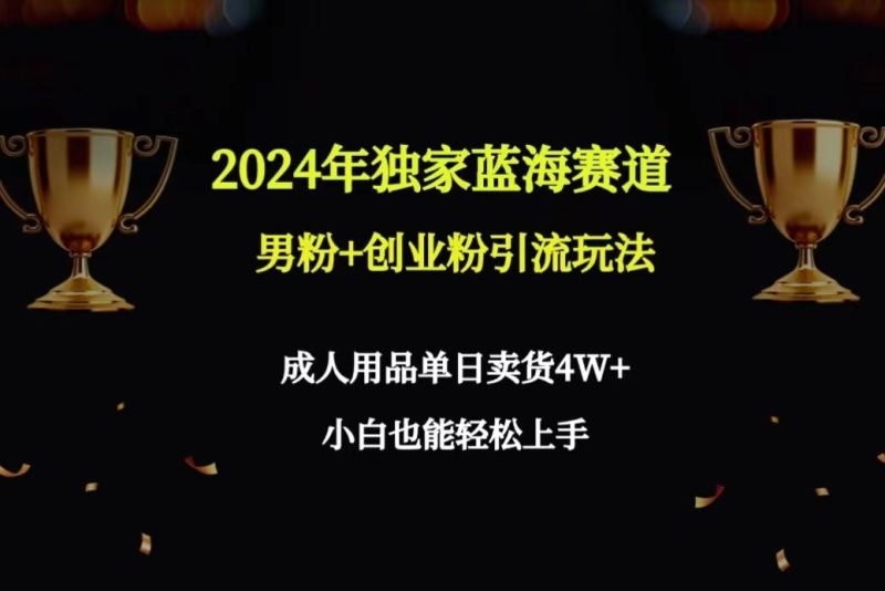 2024年独家蓝海赛道男粉+创业粉引流玩法，成人用品单日卖货4W+保姆教程-一人公司创业项目 - 淘金吧
