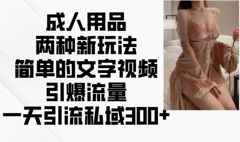 成人用品两种新玩法，简单的文字视频引爆流量，一天引流私域300+-一人公司创业项目 - 淘金吧