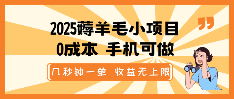 2025薅羊毛小项目，0成本 手机可做，几秒钟一单，收益无上限-一人公司创业项目 - 淘金吧