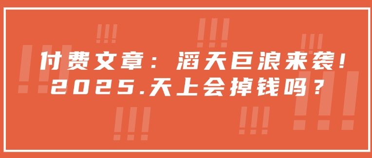 付费文章:滔天巨浪来袭!2025天上会掉钱吗?-一人公司创业项目 - 淘金吧