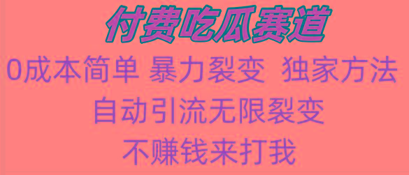 吃瓜付费赛道，暴力无限裂变，0成本，实测日入700+！！！-一人公司创业项目 - 淘金吧