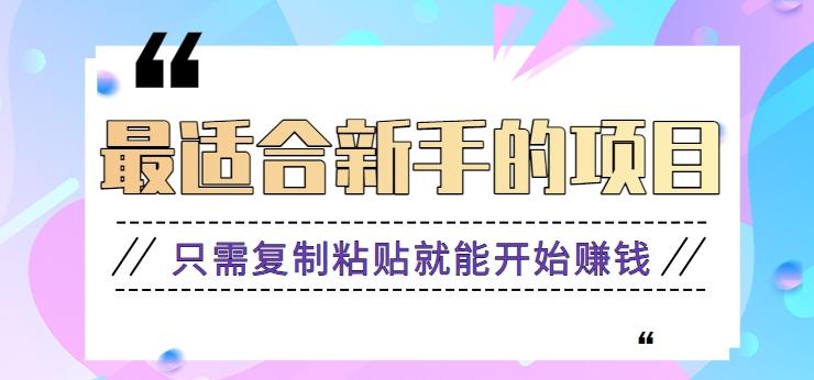 2024最适合新手操作的项目，新手小白只需复制粘贴就能开始赚钱【视频教程+软件】-一人公司创业项目 - 淘金吧