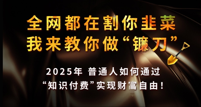 全网都在割你韭菜，我来教你做镰刀，2025年普通人如何通过 知识付费 实现财F自由【揭秘】-一人公司创业项目 - 淘金吧