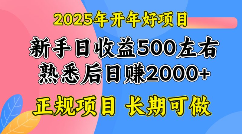 2025开年好项目,单号日收益2000左右-一人公司创业项目 - 淘金吧