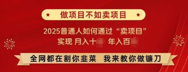 必看，做项目不如卖项目，2025普通人如何通过“卖项目”实现月入十个，年入百个-淘金吧副业资源站