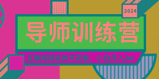 《导师训练营》精准粉丝引流的天花板，小白月入2w-一人公司创业项目 - 淘金吧