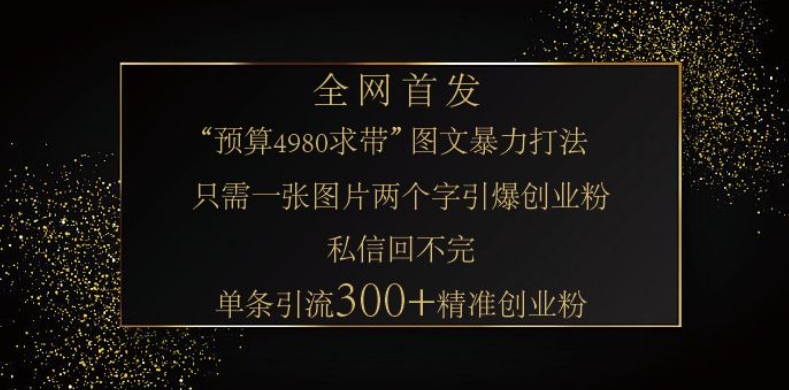 小红书神奇图片引流法,只需一张图,就能单条笔记凭借此方法,轻松引流 300 + 精准创业粉-一人公司创业项目 - 淘金吧