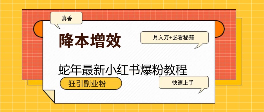 图片[1]-蛇年最新小红书爆粉教程，狂引副业粉，月入万+必看-云创网