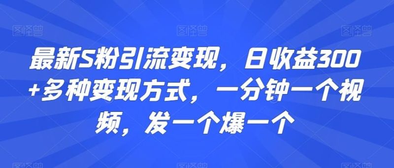 最新S粉引流变现,日收益300+多种变现方式,一分钟一个视频,发一个爆一个【揭秘】-一人公司创业项目 - 淘金吧