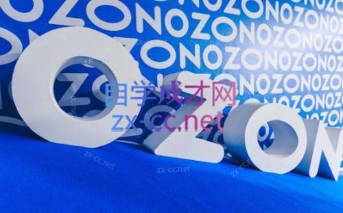 森哥·出海俄罗斯电商实操(2024)-一人公司创业项目 - 淘金吧