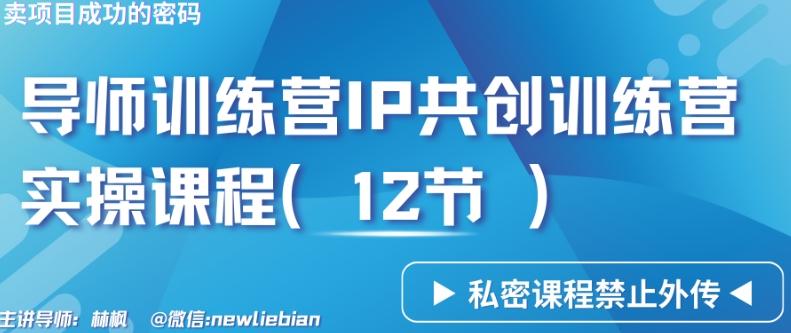 导师训练营3.0IP共创训练营私密实操课程(12节)-卖项目的密码成功秘诀【揭秘】-一人公司创业项目 - 淘金吧