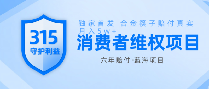 维Q赔付合金筷子玩法小白也能月入5w+风口项目实操-一人公司创业项目 - 淘金吧