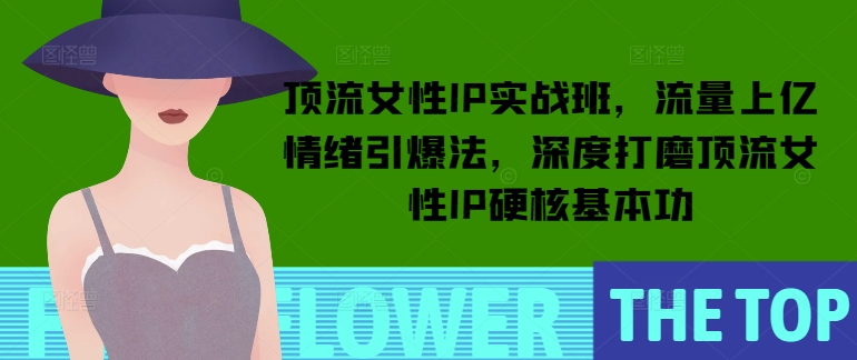 顶流女性IP实战班,流量上亿情绪引爆法,深度打磨顶流女性IP硬核基本功-一人公司创业项目 - 淘金吧