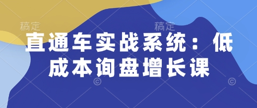 直通车实战系统：低成本询盘增长课，让个人通过技能实现升职加薪，让企业低成本获客，订单源源不断-淘金吧副业资源站
