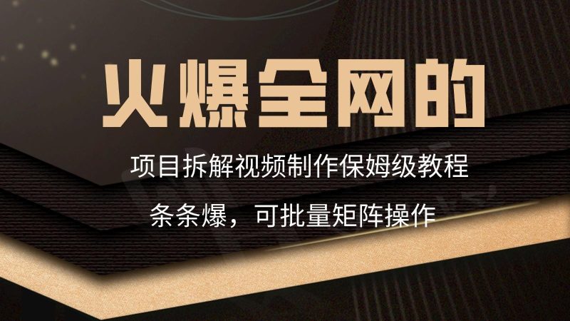 火爆全网的项目拆解类视频如何制作，条条爆，保姆级教程-一人公司创业项目 - 淘金吧