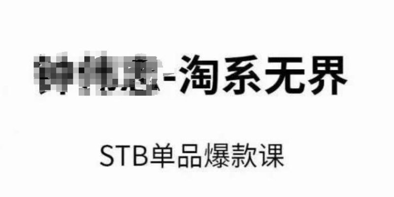 淘系无界STB单品爆款课(2024),付费带动免费的核心逻辑,万相台无界关键词推广/精准人群的核心-一人公司创业项目 - 淘金吧