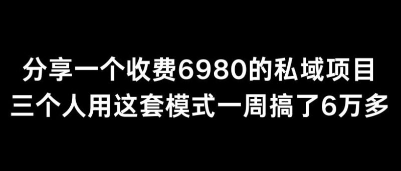 分享一个外面卖6980的私域项目三个人用这套模式一周搞了6万多【揭秘】-一人公司创业项目 - 淘金吧