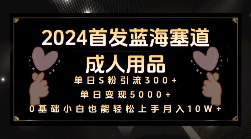 2024首发蓝海塞道成人用品，月入10W+保姆教程-一人公司创业项目 - 淘金吧