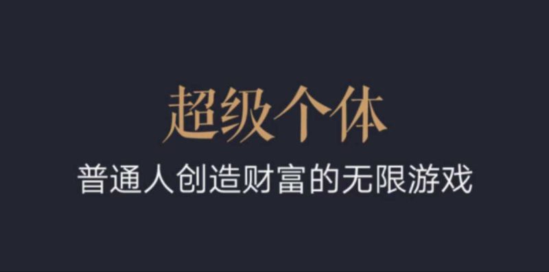 超级个体:2024-2025翻盘指南,普通人创造财富的无限游戏-一人公司创业项目 - 淘金吧